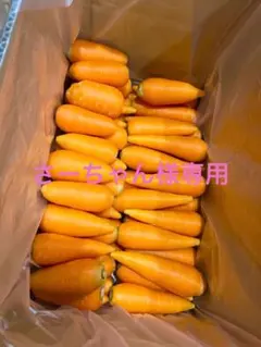 さーちゃん様専用