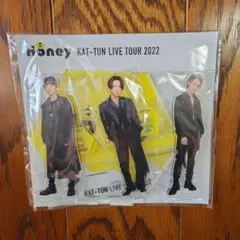 Item thumbnail for item 45e6a39a-d7e7-4114-bb31-c60c0f9103d3