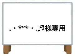 .・*’’*・.♬様 リクエスト 2点 まとめ商品