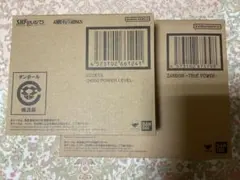 フィギュアーツ ドラゴンボール ザーボン ベジータ ＋ ボーナスパーツ