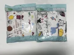 Item thumbnail for item 12d13be1-5941-4887-94c0-f0552b47b58e