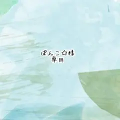 ぽんこ☆様　専用
