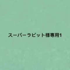 スーパーラビット様専用1