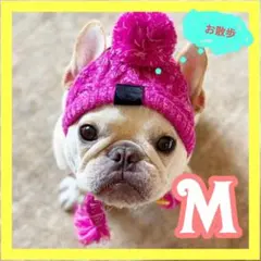 Item thumbnail for item 25884ae6-8c29-4259-98fd-dd2c0f0346c7