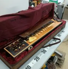 ヤマハ YAMAHA エレキ 大正琴 TH-10E 付属品・ソフトケース付き - メルカリ