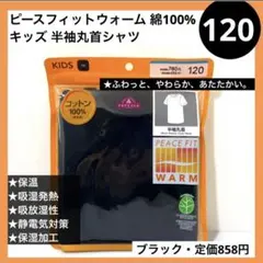 Item thumbnail for item 56ac66ee-333c-4017-abae-d761e25dd919