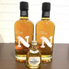 NIKKA FRONTIER ニッカ フロンティア 500ml 2本 G＆G付きのサムネイル