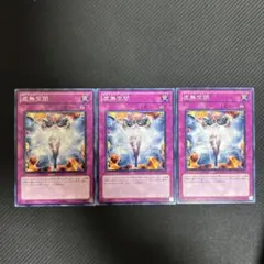 水€蓮様 リクエスト 2点 まとめ商品