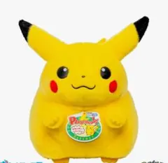 A*t様 ポケモン30周年記念 おかえりピカチュウ1/1
