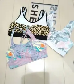 Item thumbnail for item ed422ad3-3cc0-4593-be99-33f575b7a58e