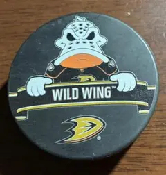 Item thumbnail for item 8a4f2707-becc-4e8c-8413-e304b29a01fa