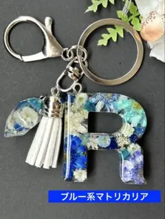 Item thumbnail for item 10c7b158-a3a4-4b5b-bdb4-fe0a8c8375c1