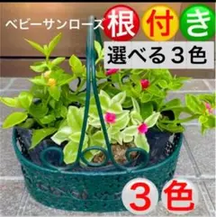 myu様 リクエスト 2点 まとめ商品