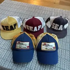 Item thumbnail for item 50b2b07f-9fff-4995-906c-0b0204fd9e62