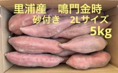里浦産　鳴門金時　砂付き２Ｌサイズ 5kg
