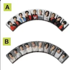 the last piece ミュージシャン