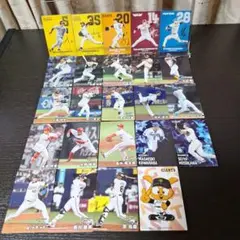 カルビー【プロ野球チップス2025】 24枚セット