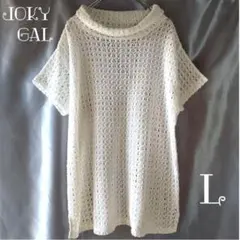 ニット Tシャツ L相当　半袖　透かし編み　綿ブレンド シアー 可愛い