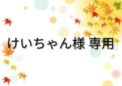 けいちゃん様専用