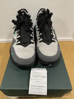 バッシュ 26.5 nike