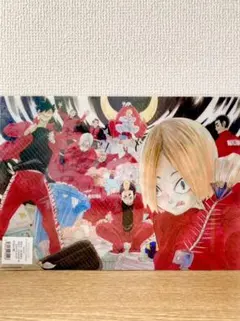 ハイキュー!! 音駒高校 烏野高校 クリアファイル