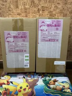 ポケモンセンター スペシャルBOX ヒロシマ フクオカ 未開封