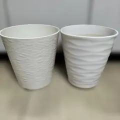 A植木鉢 2個セット 胡蝶蘭 陶器製 ホワイト デザイン鉢 大型 - メルカリ