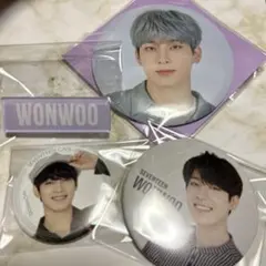 【最終値下げ】SEVENTEEN ウォヌ 缶バッチセット