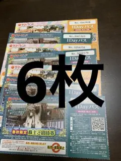 東京サマーランド 1Dayパス 招待券2枚 匿名配送 - メルカリ