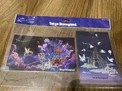 【新品】東京ディズニーランド 　リーチフォーザスターズ　ポストカード2枚セット