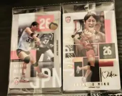 バレーボール女子日本代表2026 トレーディングmini色紙 岩澤実育