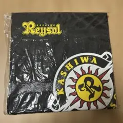 柏レイソル　スタジアムクッション　非売品