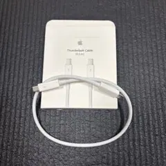 Apple 純正 Thunderboltケーブル0.5m アップル 1度のみのサムネイル