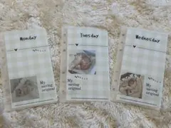 韓国saving♪子猫Day of the weekリフィルA6サイズ