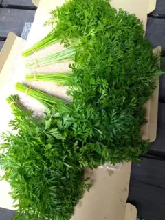 Item thumbnail for item a63babcf-85bc-45b9-b688-38e8c70e8498