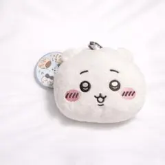ちいかわ ぬいぐるみパスケースポーチ　 新品未使用タグ付き