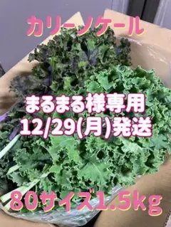 まるまる様専用ページ