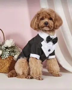 【美品】犬用 燕尾服 狗狗燕尾服 灰色&黑色