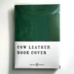 Item thumbnail for item 067cf79e-2bfa-4f69-95cf-8be4d89a9b6d