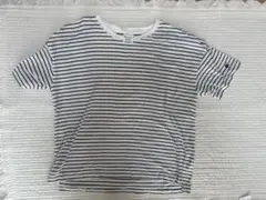 Champion ストライプ 半袖Tシャツ M