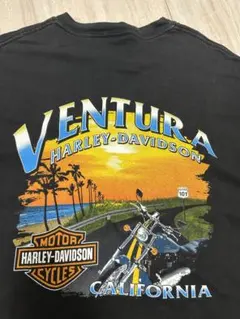 最終値下 00s Harley-Davidson USA製 Hanes body