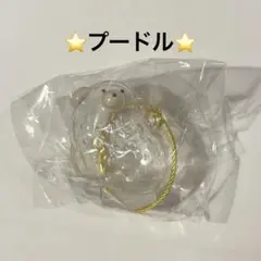 うちの子のけだまだま　犬　プードル