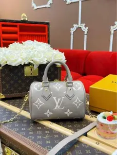 Louis Vuitton Speedy Nano バッグのサムネイル