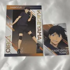 影山飛雄 ユース