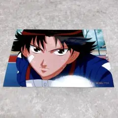 テニスの王子様 テニプリ 非売品 ブロマイド スナップ写真 菊丸英二