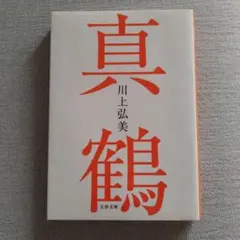 Item thumbnail for item cb01c2da-ea3d-4fe4-bc69-effe8bcae594