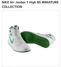 NIKE Air Jordan エアジョーダン METALLIC GREEN