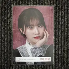 櫻坂46 向井純葉 5th Anniversary ドレス 生写真 - メルカリ