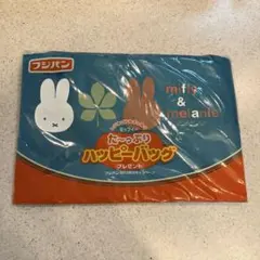 ミッフィー たっぷりハッピーバッグ 2013年　秋Version　非売品