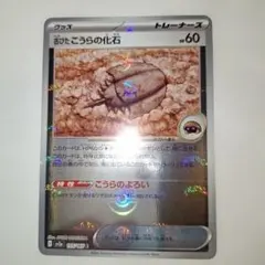 古びたこうらの化石 HP60 トレーナーズ
